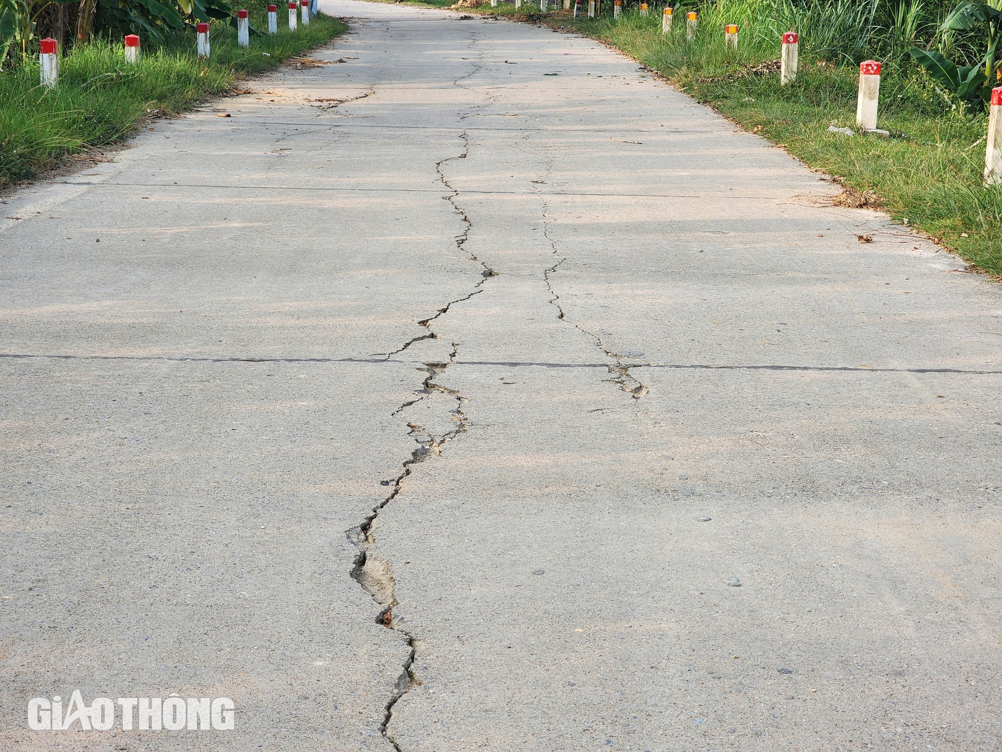 Phú Thọ: Tắc giao thương, dân phải đi vòng 30km sau sạt lở đê sông Lô- Ảnh 8.