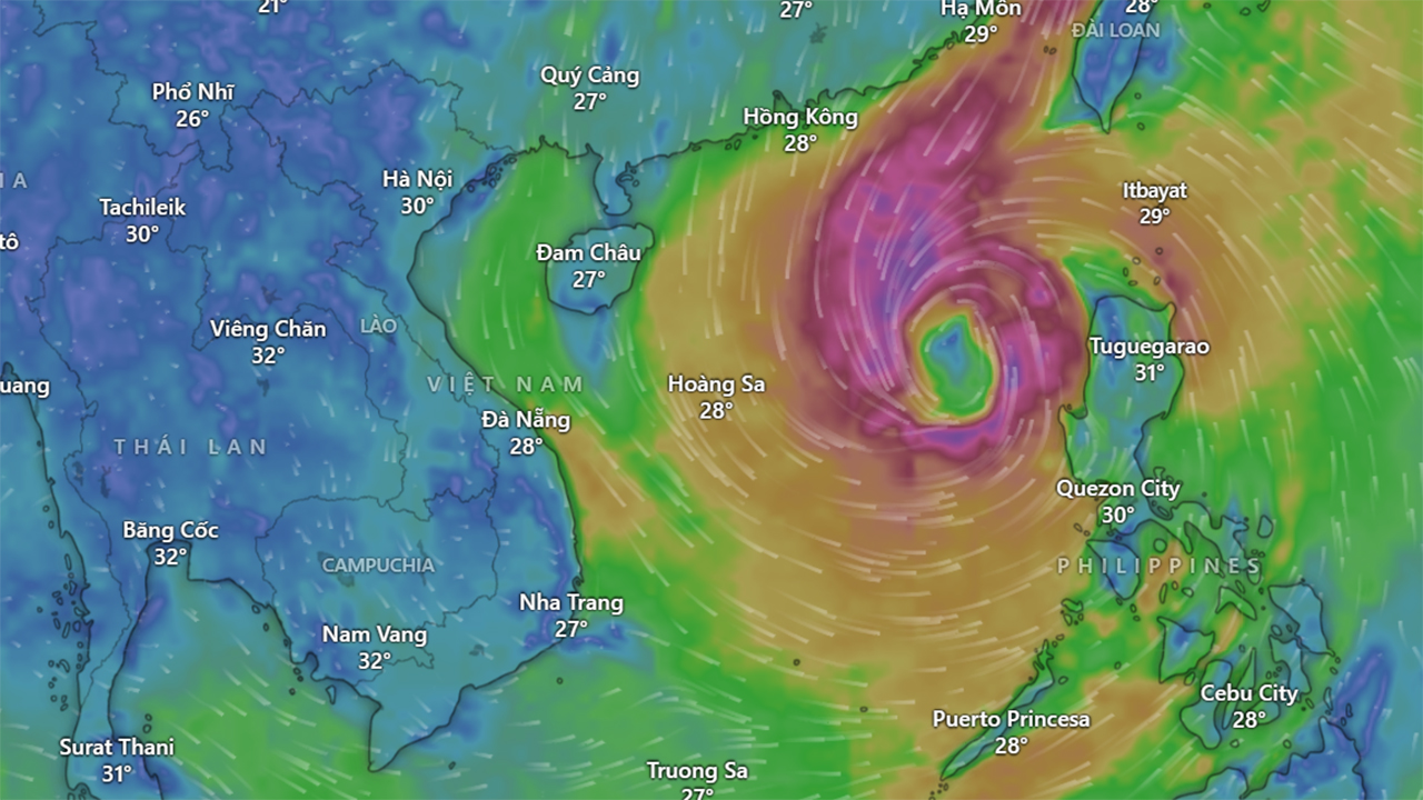 Cách theo dõi bão trực tuyến