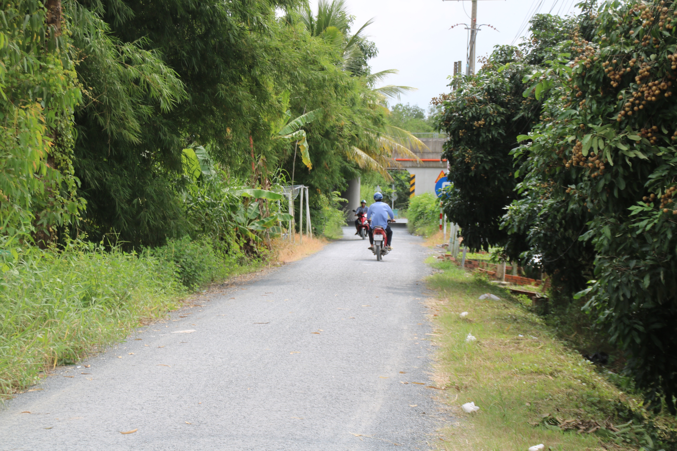 Mượn đường làm cao tốc Mỹ Thuận - Cần Thơ: Hoàn trả mặt đường, bồi thường 73 hộ dân- Ảnh 2.