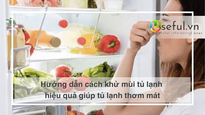 Hướng dẫn cách khử mùi tủ lạnh hiệu quả giúp tủ lạnh thơm mát