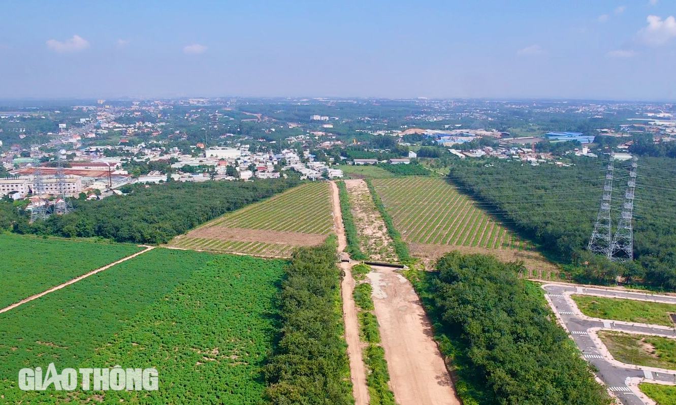 Kỹ sư, công nhân tận dụng từng mét đất để đua tiến độ cao tốc Biên Hoà - Vũng Tàu- Ảnh 12.