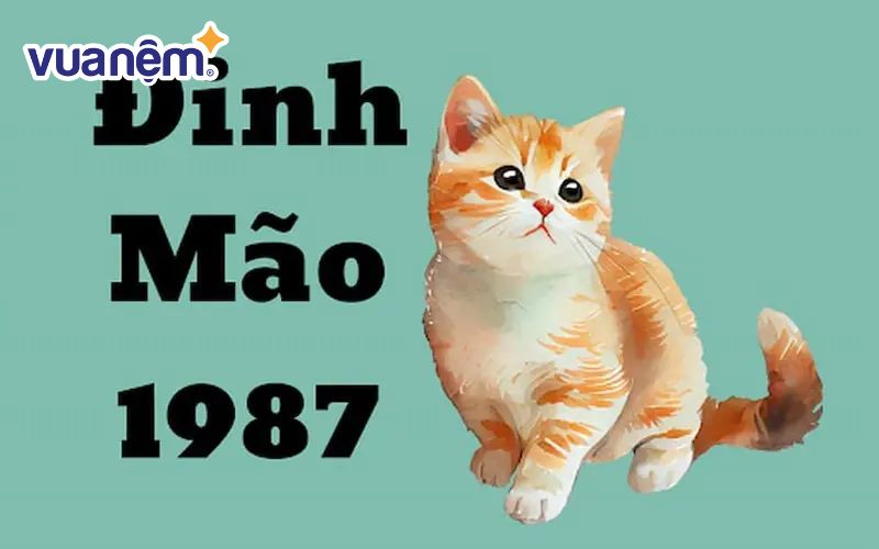 Xem tử vi nam Đinh Mão 1987 năm 2025 qua từng khía cạnh