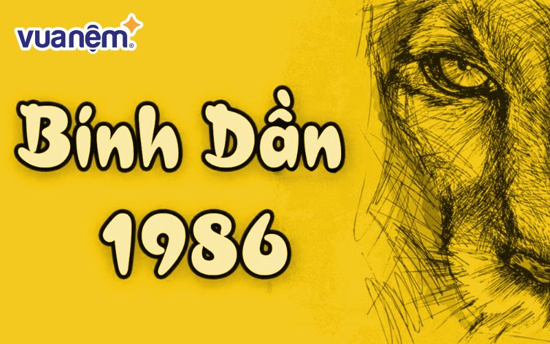 Tử vi 2025 nam Bính Dần 1986 qua các khía cạnh