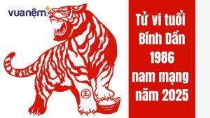 tu vi tuoi binh dan 1986 thumb