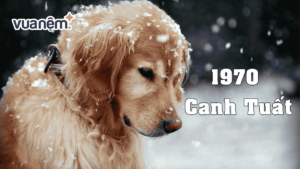 Chi tiết về tử vi tuổi Canh Tuất 1970 – Nam mạng năm 2025