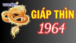 Chi tiết về tử vi tuổi Giáp Thìn 1964 – Nam mạng năm 2025