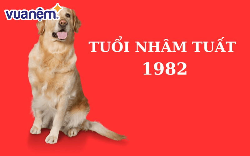 tử vi tuổi Nhâm Tuất 1982