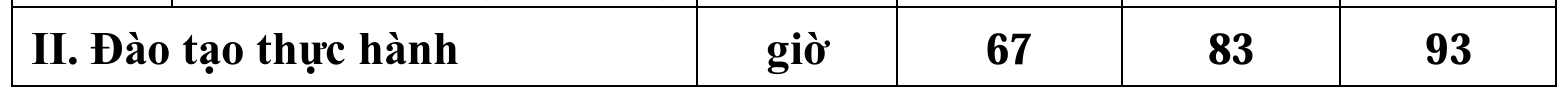 Từ 1/1/2025, được dùng GPLX hạng nào để điều khiển ô tô điện?- Ảnh 3.