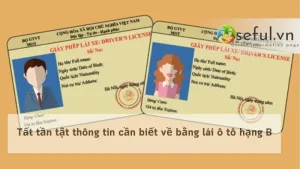 Tất tần tật thông tin cần biết về bằng lái ô tô hạng B