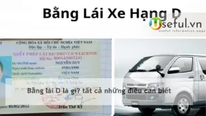 Bằng lái D là gì? tất cả những điều cần biết