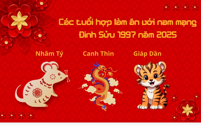 Đinh Sửu 1997 nam mạng năm 2025 thích hợp làm ăn cùng các tuổi Nhâm Tý, Canh Thìn, Giáp Dần.