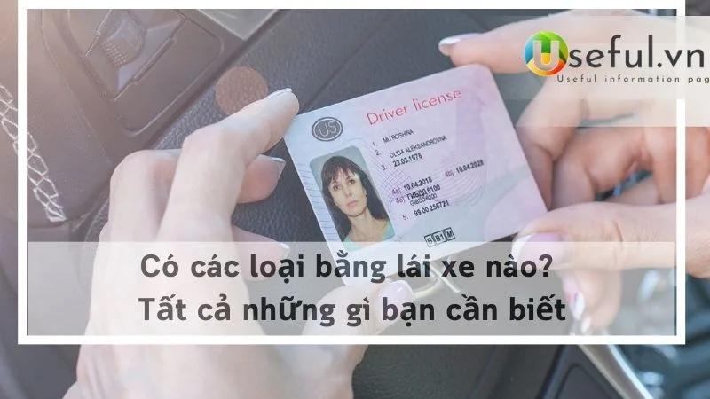 Có các loại bằng lái xe nào? Tất cả những gì bạn cần biết