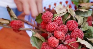 Không cần mua vàng ngày vía Thần Tài, làm 3 việc này cũng giúp rước lộc về nhà, buôn may bán đắt trong năm mới - Ảnh 4.