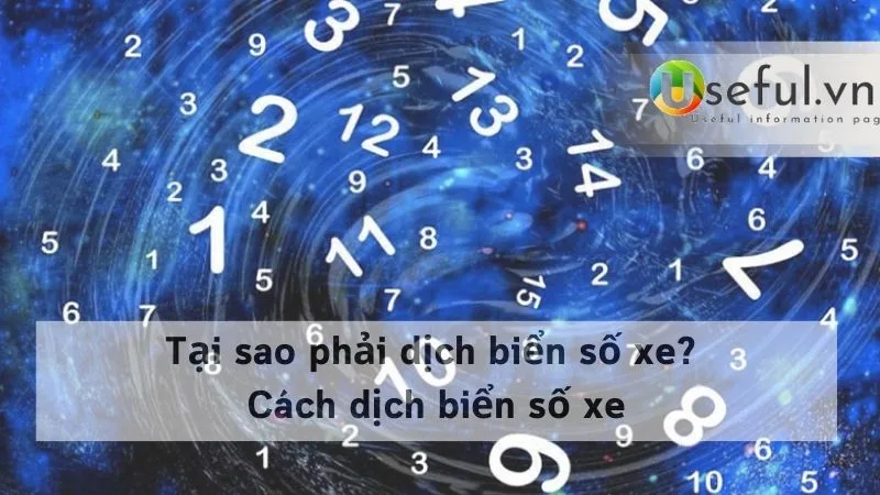 Tại sao phải dịch biển số xe? Cách dịch biển số xe