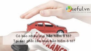 Có bao nhiêu loại bảo hiểm ô tô? Tại sao phải cần mua bảo hiểm ô tô?