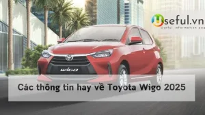 Các thông tin hay về Toyota Wigo 2025