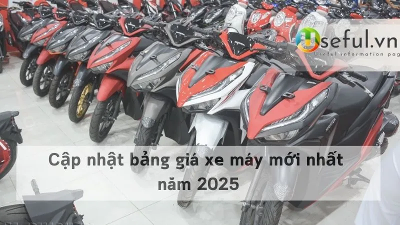 bản sao Useful 2025 02 05T140635.718 jpg