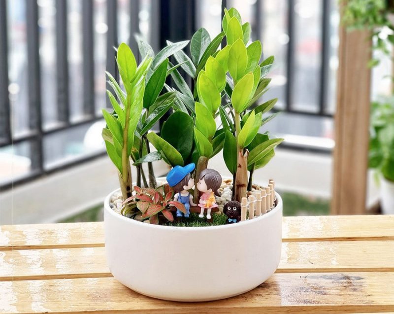 Không cần mua vàng ngày vía Thần Tài, làm 3 việc này cũng giúp rước lộc về nhà, buôn may bán đắt trong năm mới- Ảnh 3. Không cần mua vàng ngày vía Thần Tài, làm 3 việc này cũng giúp rước lộc về nhà, buôn may bán đắt trong năm mới- Ảnh 3.