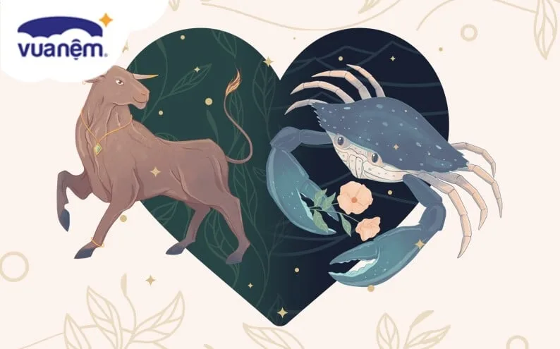 Giải mã Cự Giải và Kim Ngưu có hợp nhau không? 2 cu giai co hop voi kim nguu khong jpg