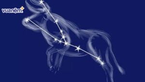 Cung mọc Kim Ngưu kết hợp với 12 cung mặt trời như thế nào?