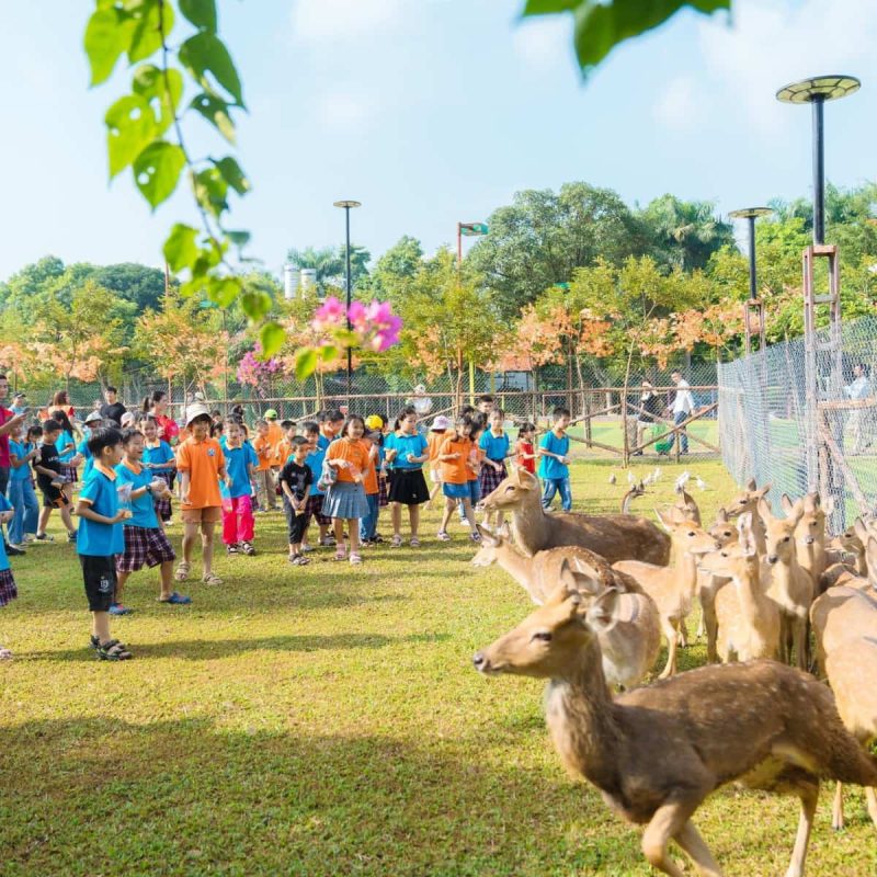 dia-diem-to-chuc-team-building-tai-ha-noi-23-1 địa điểm tổ chức team building tại Hà Nội