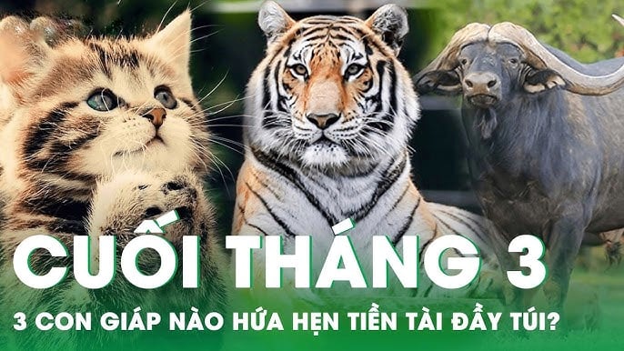 img0152-2304-1 Tháng 3/2025 hoan hỷ: 3 con giáp hút tài lộc, đặc biệt Tình - Tiền đều vượng