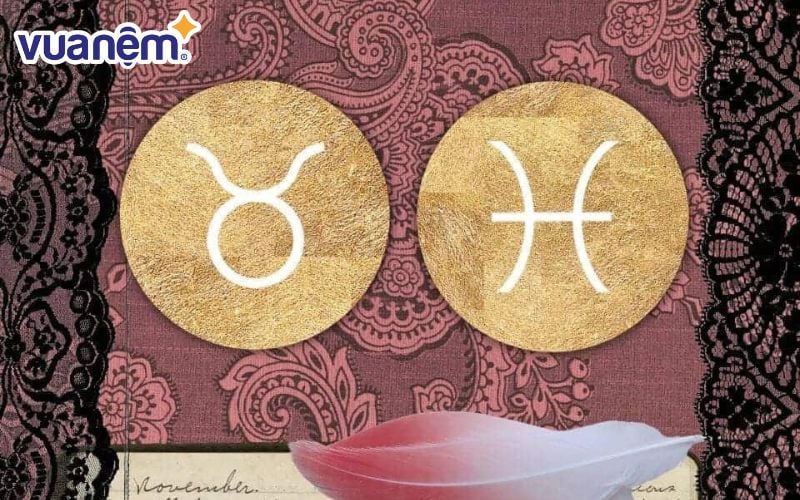 song-ngu-va-kim-nguu-7 Một số lời khuyên chân thành cho mối quan hệ của Kim Ngưu và Song Ngư