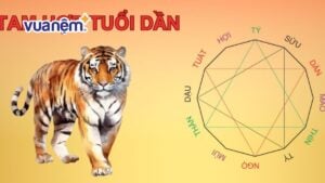 Tam hợp tuổi Dần là gì? trong hôn nhân, làm ăn thế nào?