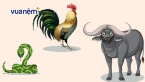 Tam hợp tuổi Tỵ Dậu Sửu: và những điều bạn nên biết