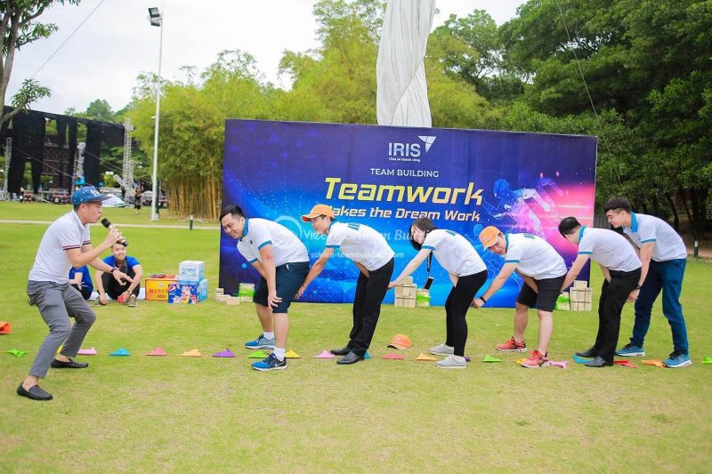 tổ chức team building cho công ty