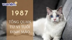 Chi tiết về tử vi tuổi Đinh Mão 1987 – Nam mạng năm 2025