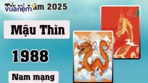 Chi tiết về tử vi tuổi Mậu Thìn 1988 – Nam mạng năm 2025