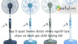 Top 5 quạt Senko được nhiều người lựa chọn và đánh giá chất lượng tốt