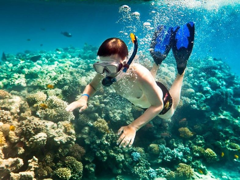 tour đi bộ dưới đáy biển Nha Trang tour đi bộ dưới đáy biển Nha Trang