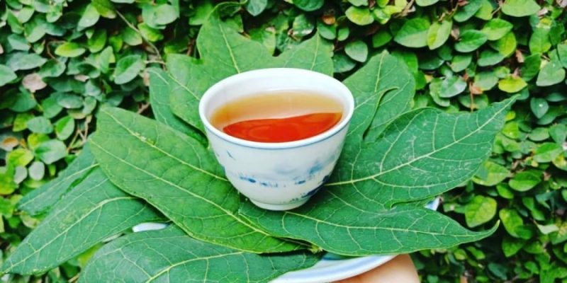uong-nuoc-la-du-du-moi-ngay-2-0936 Để đảm bảo an toàn, trước khi sử dụng nước lá đu đủ, bạn nên tham khảo ý kiến bác sĩ, đặc biệt nếu bạn đang mắc các bệnh mạn tính hoặc đang sử dụng thuốc điều trị