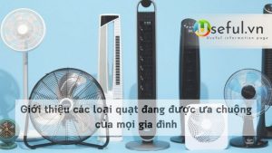Giới thiệu các loại quạt đang được ưa chuộng của mọi gia đình