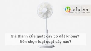 Giá thành của quạt cây có đắt không? Nên chọn loại quạt cây nào?