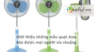 Giới thiệu những mẫu quạt Asia khá được mọi người ưa chuộng
