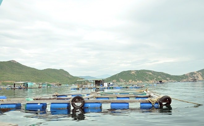 Tour Bình Ba Nha Trang 1 Ngày Tour Bình Ba Nha Trang 1 Ngày