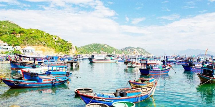 Tour Bình Ba Nha Trang 1 Ngày Tour Bình Ba Nha Trang 1 Ngày