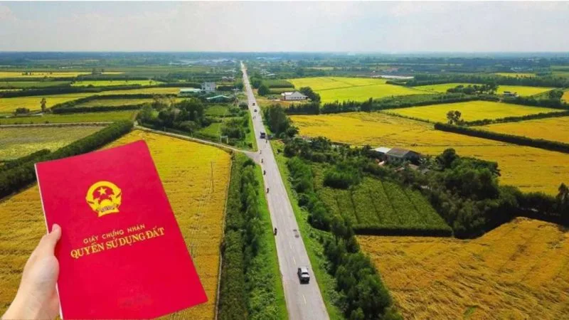 nam 2025 co 7 loai dat duoc chuyen doi sang dat o ton rat it chi phi 172653 jpg