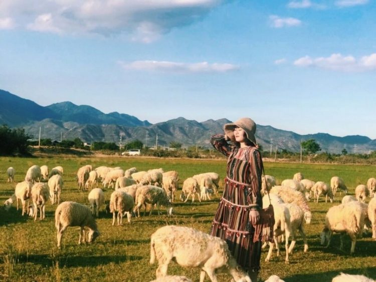 Địa điểm du lịch Ninh Thuận Địa điểm du lịch Ninh Thuận