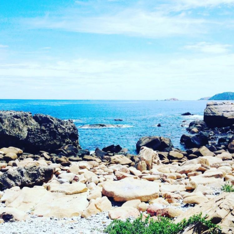 Địa điểm du lịch Ninh Thuận Địa điểm du lịch Ninh Thuận