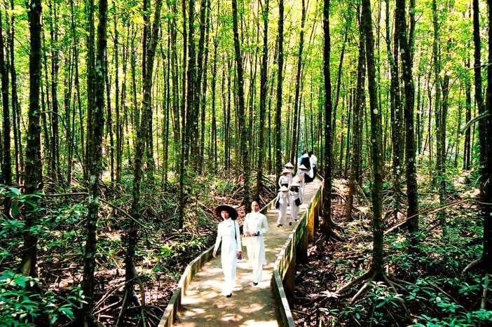 địa điểm du lịch Cà Mau địa điểm du lịch Cà Mau