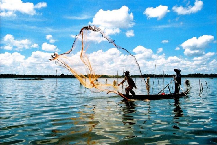 3-min-15-768x512-1-750x500-1 địa điểm du lịch Cà Mau