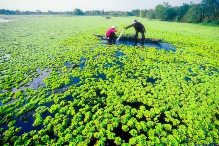 địa điểm du lịch Cà Mau địa điểm du lịch Cà Mau