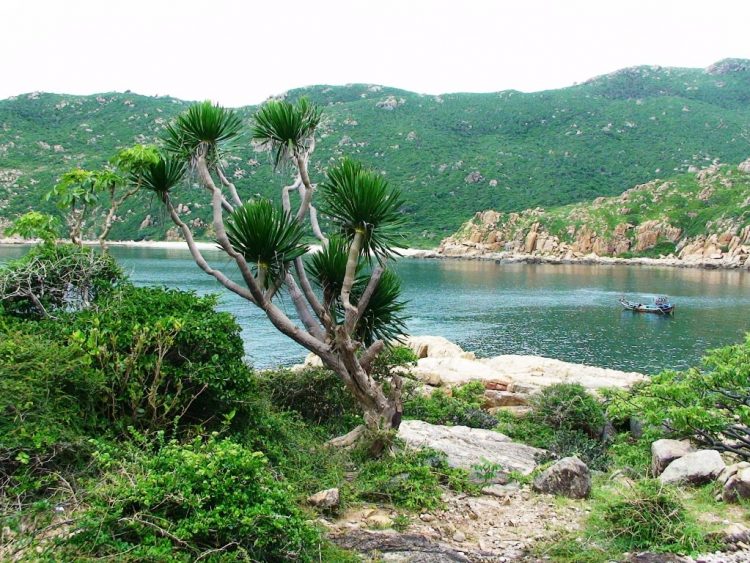 Địa điểm du lịch Ninh Thuận Địa điểm du lịch Ninh Thuận