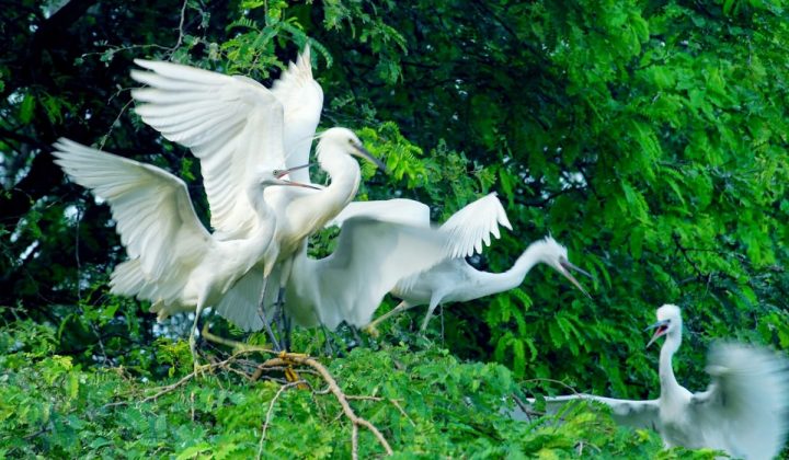 địa điểm du lịch Cà Mau địa điểm du lịch Cà Mau