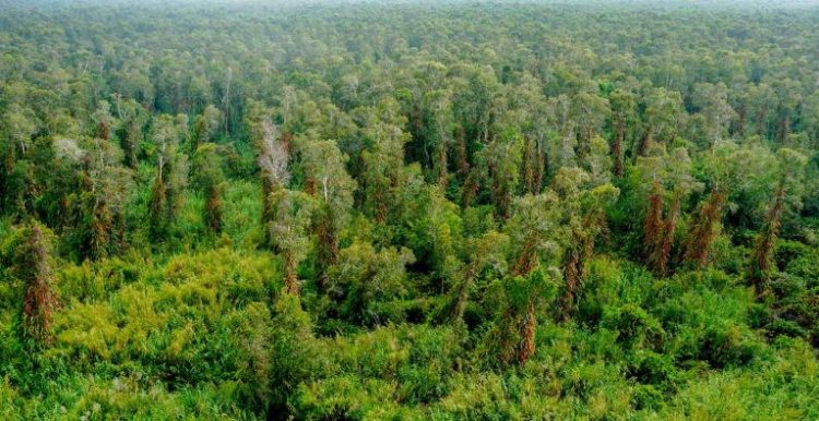 địa điểm du lịch Cà Mau địa điểm du lịch Cà Mau
