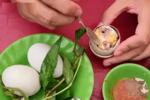 an hot vit lon dai bo nhung co 6 nguoi phai tranh co an ruoc hoa vao nguoi 105714 300x200 jpg